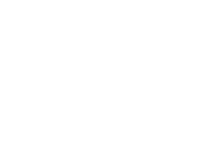 RAVN