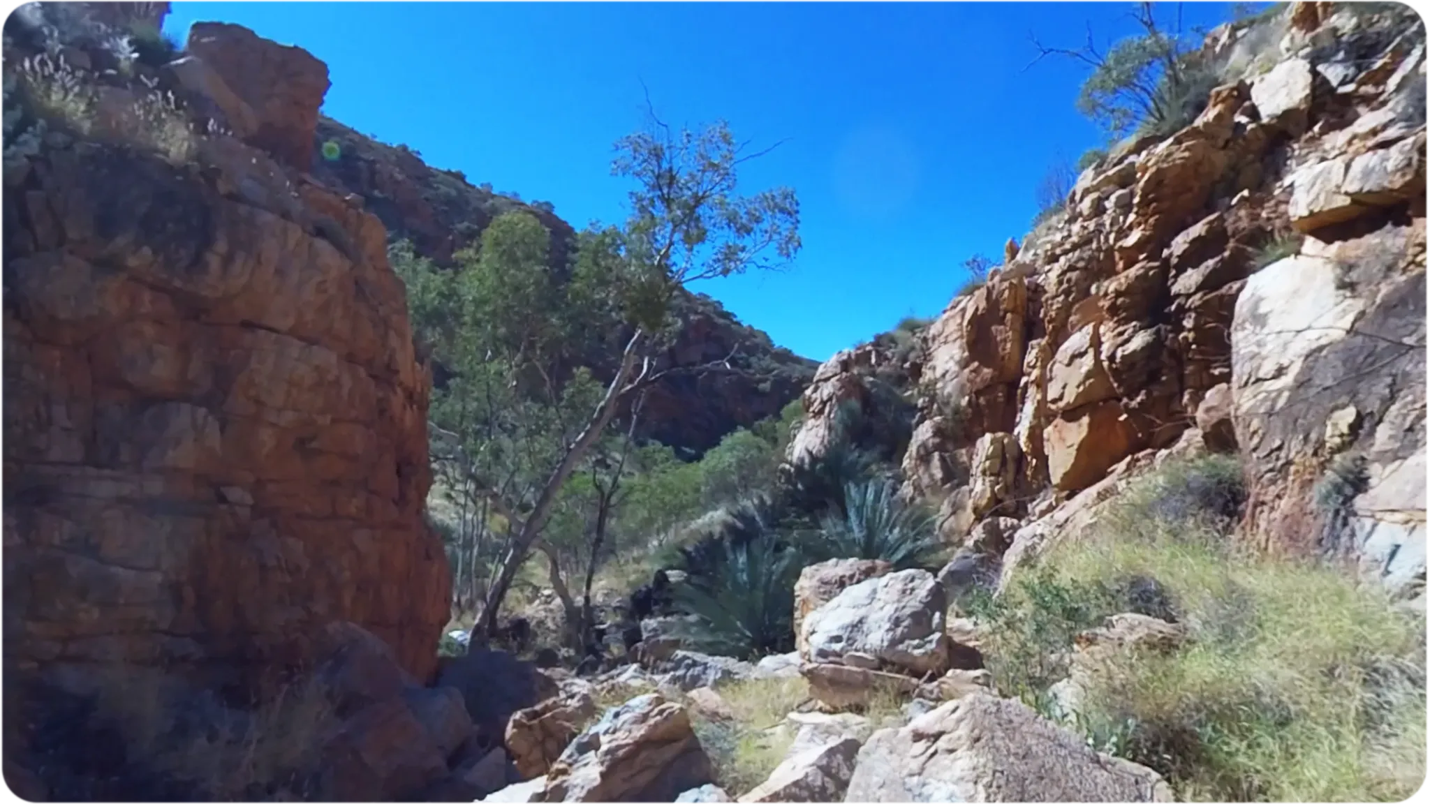 Larapinta Chasm
