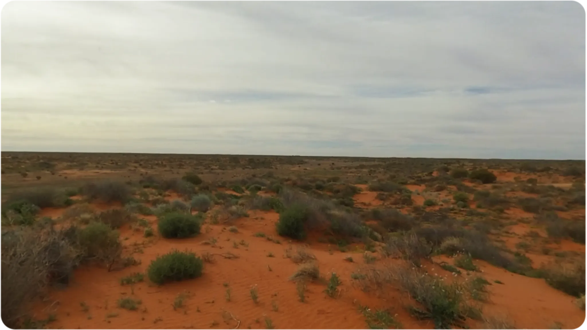 Red Dunes