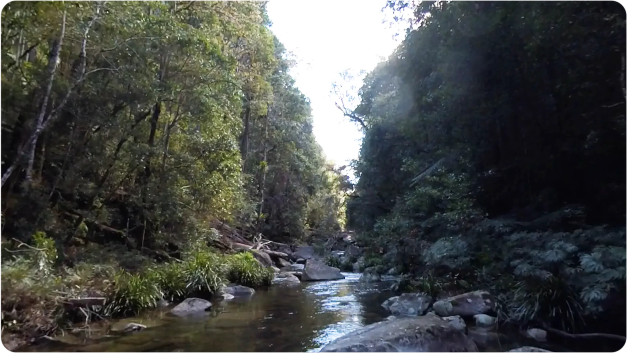 Washpool Creek