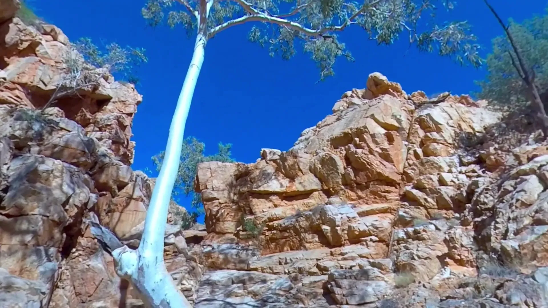 EscapeVR Larapinta Chasm Environment