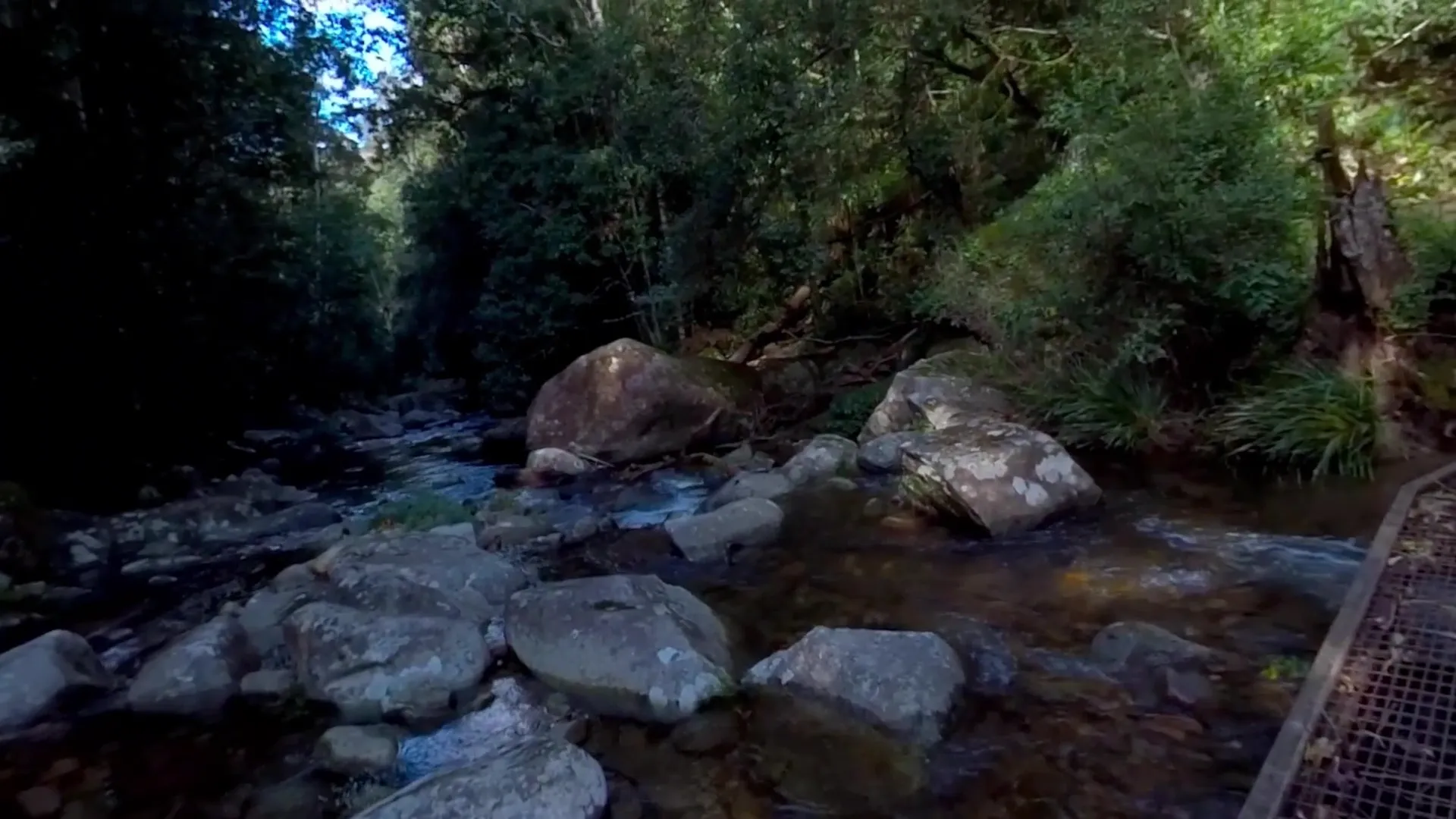 EscapeVR Washpool Creek Environment